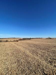 ONLINE AUCTION. Nodaway County Highly Tillable Hill Land - image 7
