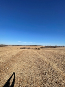 ONLINE AUCTION. Nodaway County Highly Tillable Hill Land - image 6