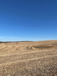ONLINE AUCTION. Nodaway County Highly Tillable Hill Land - image 4