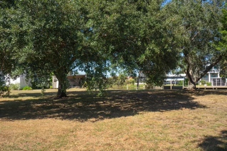 Canal Front Property - Suwannee Florida! - image 4