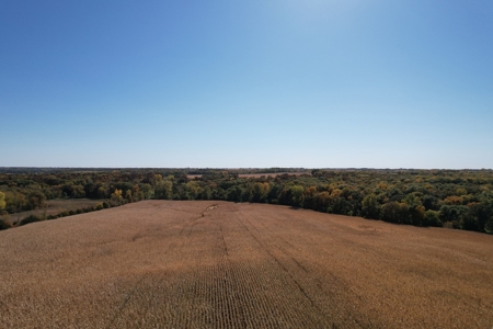 ONLINE AUCTION. Nodaway County Hunting/Recreation/Tillable - image 2