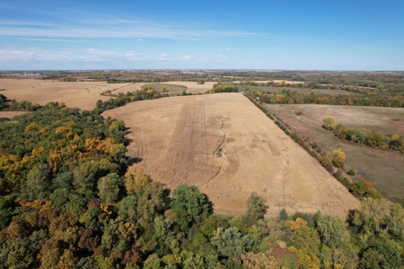 ONLINE AUCTION. Nodaway County Hunting/Recreation/Tillable - image 1