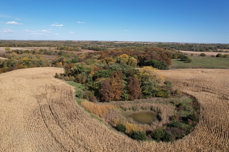 ONLINE AUCTION. Nodaway County Hunting/Recreation/Tillable - image 1