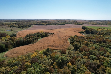 ONLINE AUCTION. Nodaway County Hunting/Recreation/Tillable - image 2