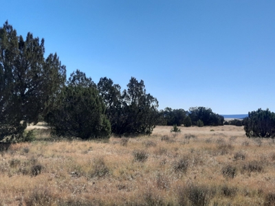 Beautiful Property - image 14
