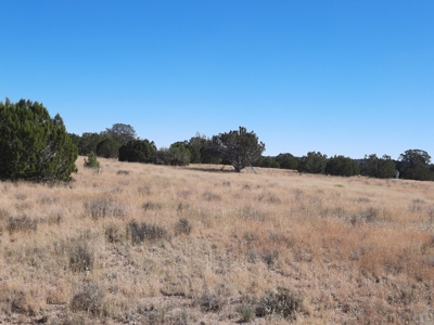 Beautiful Property - image 10
