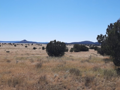 Beautiful Property - image 5