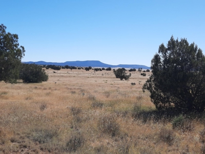Beautiful Property - image 6