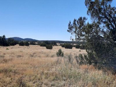Beautiful Property - image 12