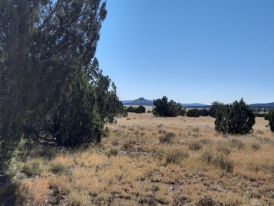Beautiful Property - image 1