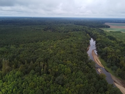 AUCTION Barham's Woods, Nottoway  River, Southampton Co VA - image 7