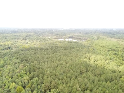 AUCTION Barham's Woods, Nottoway  River, Southampton Co VA - image 17