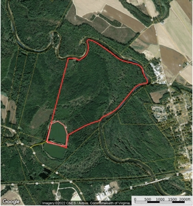 AUCTION Barham's Woods, Nottoway  River, Southampton Co VA - image 1