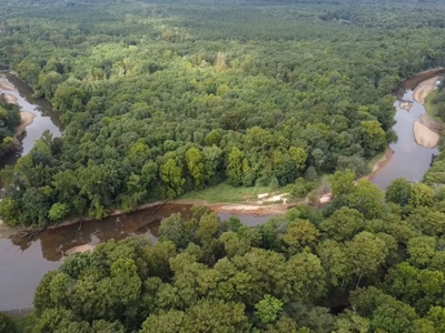 AUCTION Barham's Woods, Nottoway  River, Southampton Co VA - image 5