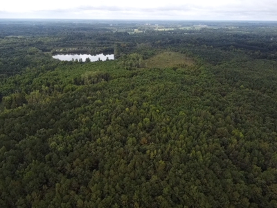 AUCTION Barham's Woods, Nottoway  River, Southampton Co VA - image 9