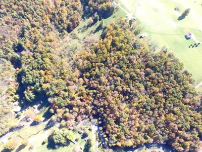 Wooded Land For Sale In Wytheville VA - image 13