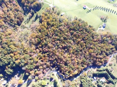Wooded Land For Sale In Wytheville VA - image 12
