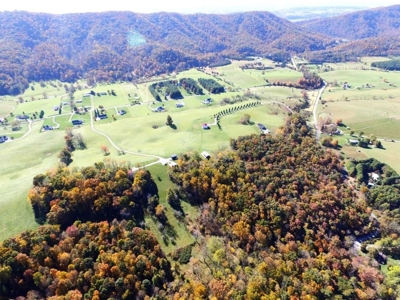 Wooded Land For Sale In Wytheville VA - image 18