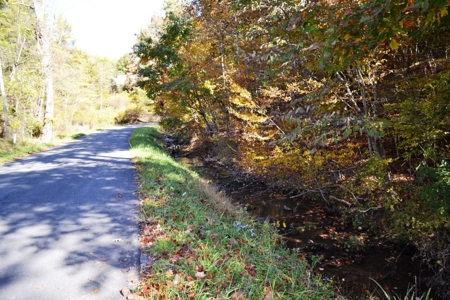 Wooded Land For Sale In Wytheville VA - image 9
