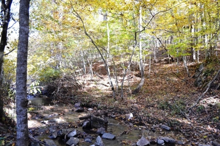 Wooded Land For Sale In Wytheville VA - image 17
