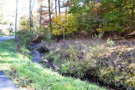 Wooded Land For Sale In Wytheville VA - image 10