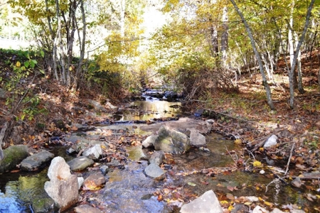 Wooded Land For Sale In Wytheville VA - image 11