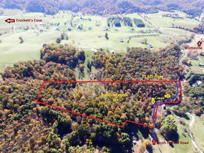 Wooded Land For Sale In Wytheville VA - image 1