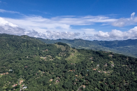22 Hectares and 2667m2 Lot for sale in Altos Del Maria - image 4