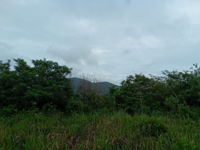 22 Hectares and 2667m2 Lot for sale in Altos Del Maria - image 21