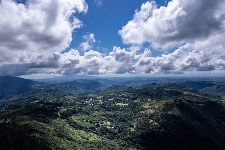 22 Hectares and 2667m2 Lot for sale in Altos Del Maria - image 1