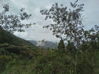22 Hectares and 2667m2 Lot for sale in Altos Del Maria - image 18