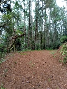 22 Hectares and 2667m2 Lot for sale in Altos Del Maria - image 19