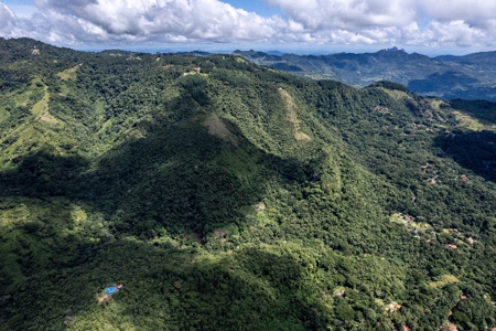 22 Hectares and 2667m2 Lot for sale in Altos Del Maria - image 9