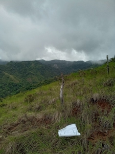 22 Hectares and 2667m2 Lot for sale in Altos Del Maria - image 27