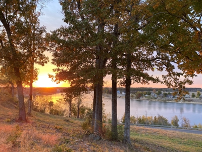 Riverview Acreage For Sale In Tn 13 Acres+/- - image 6