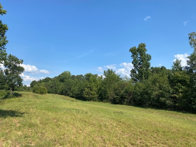 Riverview Acreage For Sale In Tn 13 Acres+/- - image 23