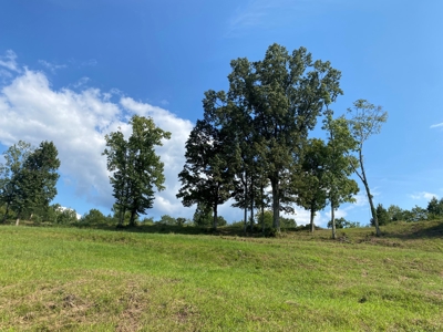 Riverview Acreage For Sale In Tn 13 Acres+/- - image 40