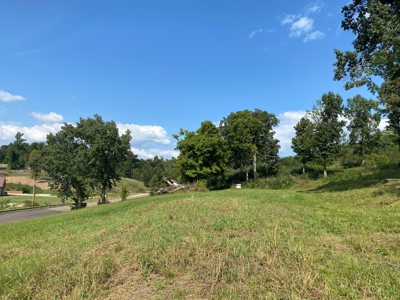 Riverview Acreage For Sale In Tn 13 Acres+/- - image 38