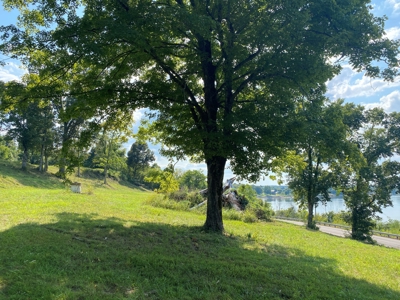Riverview Acreage For Sale In Tn 13 Acres+/- - image 36