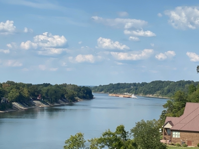 Riverview Acreage For Sale In Tn 13 Acres+/- - image 3