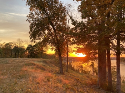 Riverview Acreage For Sale In Tn 13 Acres+/- - image 42