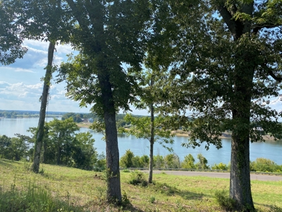 Riverview Acreage For Sale In Tn 13 Acres+/- - image 31