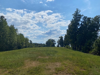Riverview Acreage For Sale In Tn 13 Acres+/- - image 4