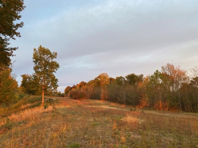 Riverview Acreage For Sale In Tn 13 Acres+/- - image 41
