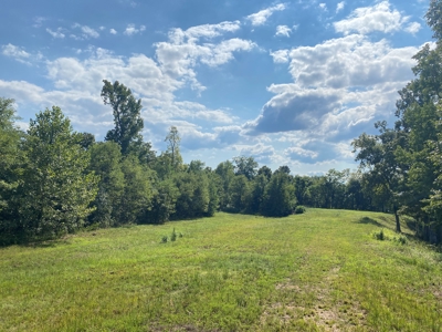 Riverview Acreage For Sale In Tn 13 Acres+/- - image 16