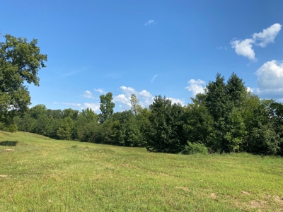 Riverview Acreage For Sale In Tn 13 Acres+/- - image 9