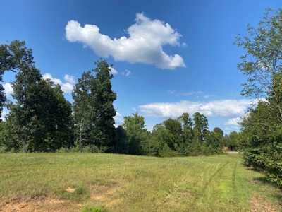 Riverview Acreage For Sale In Tn 13 Acres+/- - image 5
