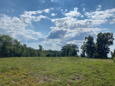 Riverview Acreage For Sale In Tn 13 Acres+/- - image 27