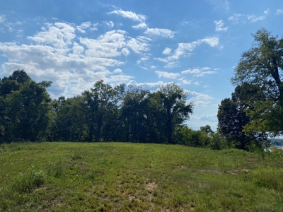 Riverview Acreage For Sale In Tn 13 Acres+/- - image 20