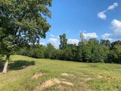 Riverview Acreage For Sale In Tn 13 Acres+/- - image 26